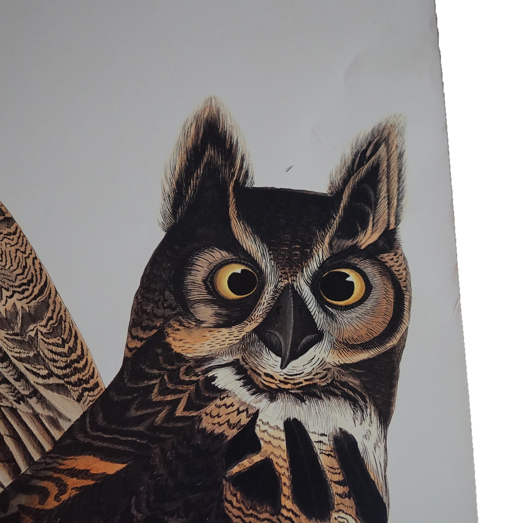 R. Havell Double Elephant Folio Audubon Print of Great Horned Owls C1999 In Good Condition For Sale In Big Flats, NY
