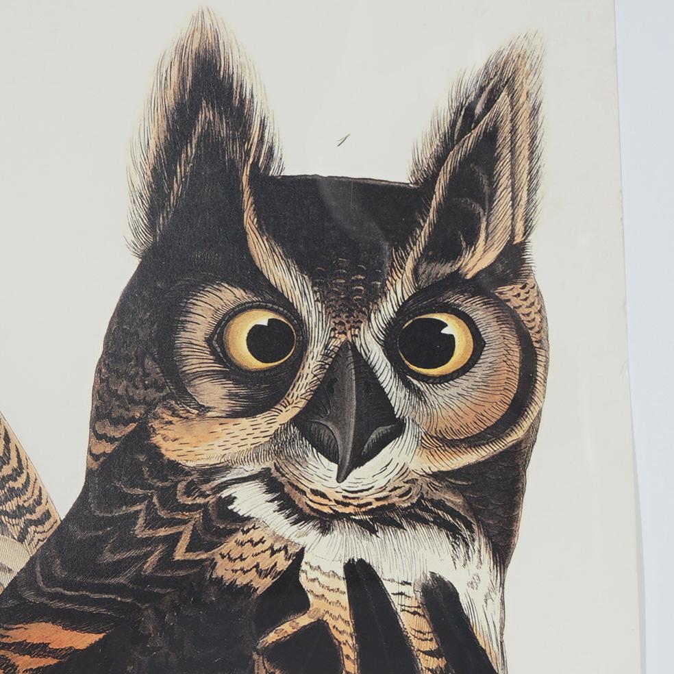 20th Century R. Havell Double Elephant Folio Audubon Print of Great Horned Owls C1999 For Sale