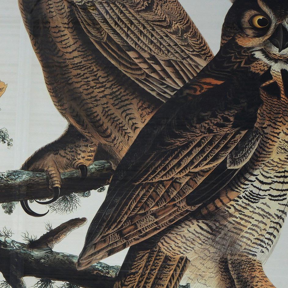 Paper R. Havell Double Elephant Folio Audubon Print of Great Horned Owls C1999 For Sale