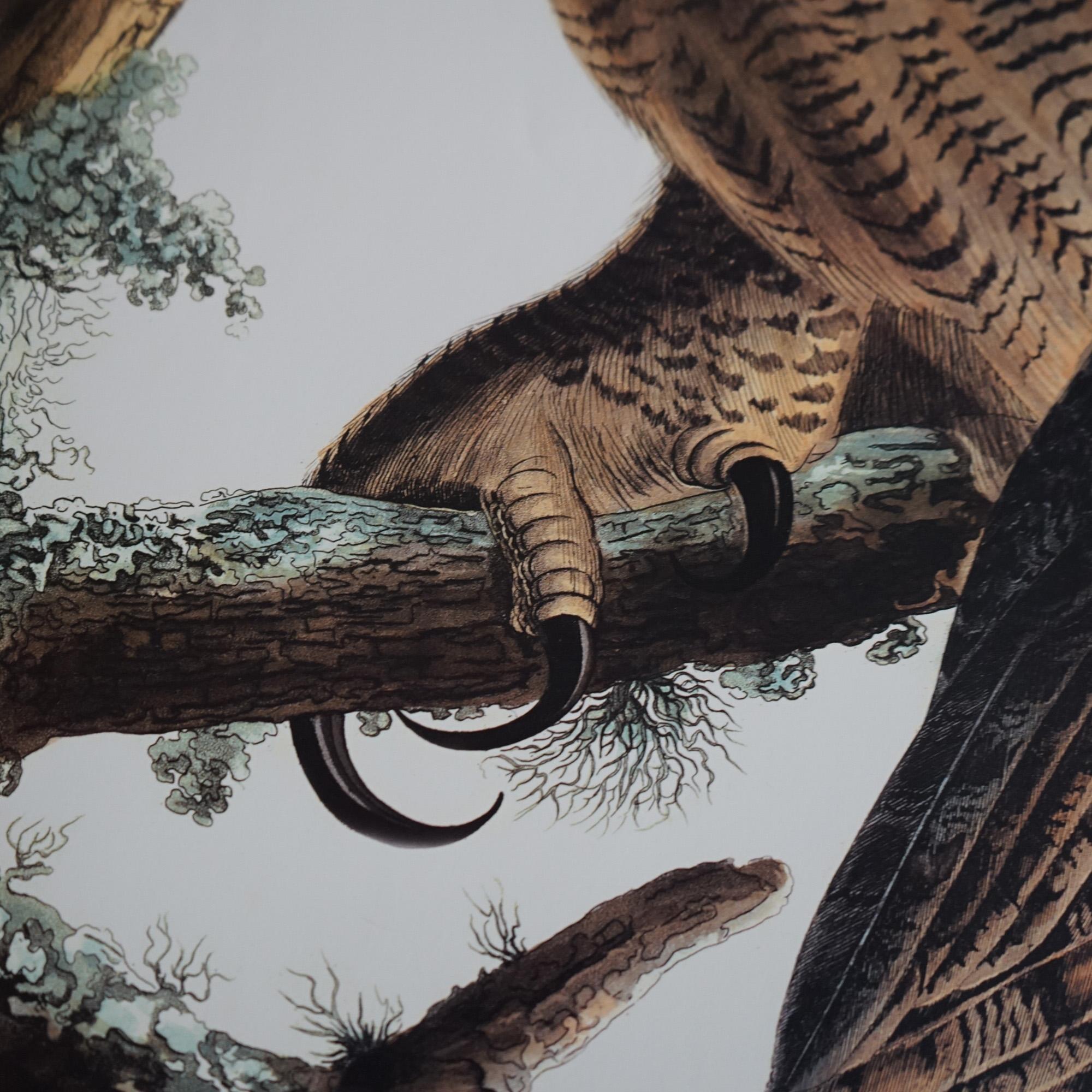 R. Havell Double Elephant Folio Audubon Print of Great Horned Owls C1999 For Sale 1