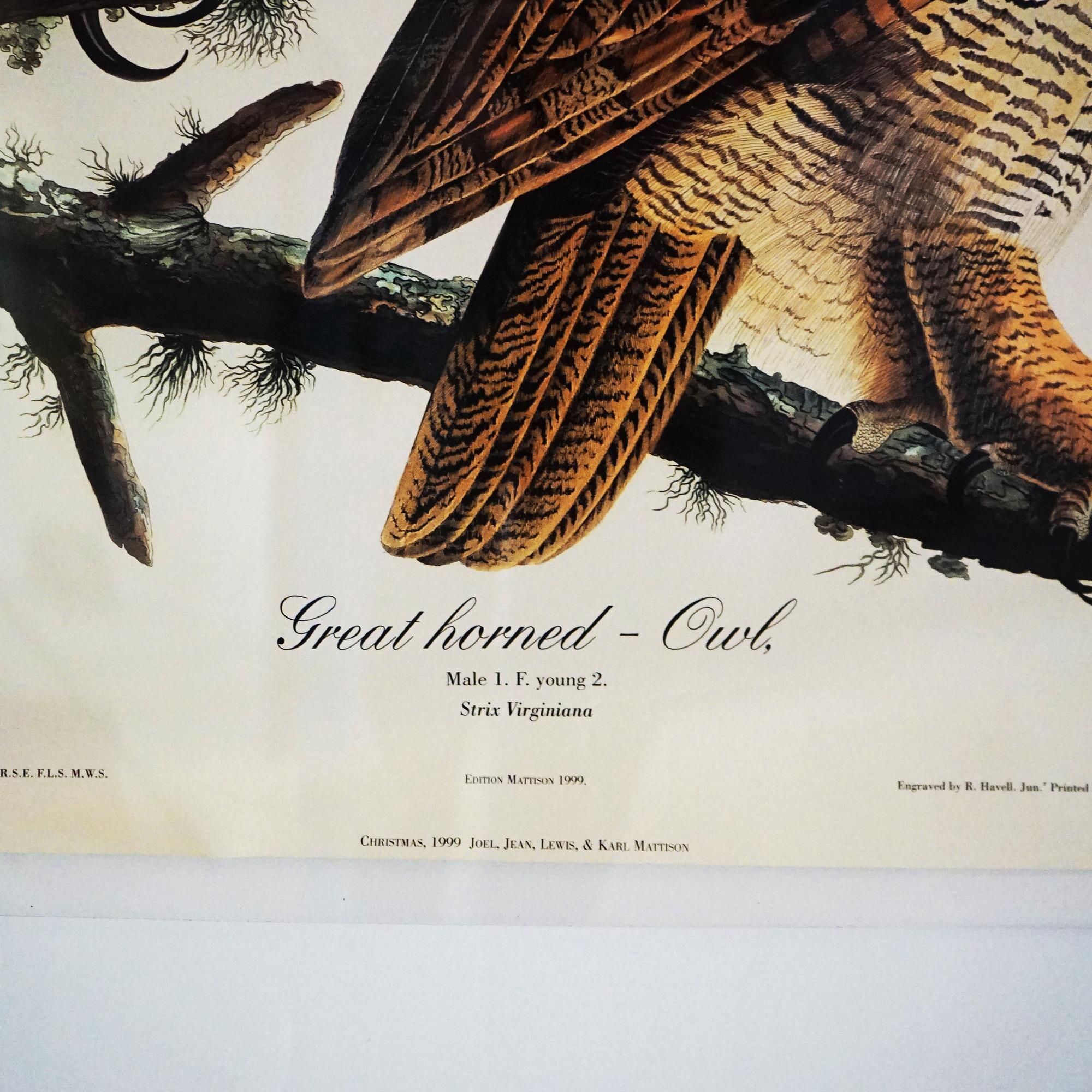 R. Havell Double Elephant Folio Audubon Print of Great Horned Owls C1999 For Sale 2