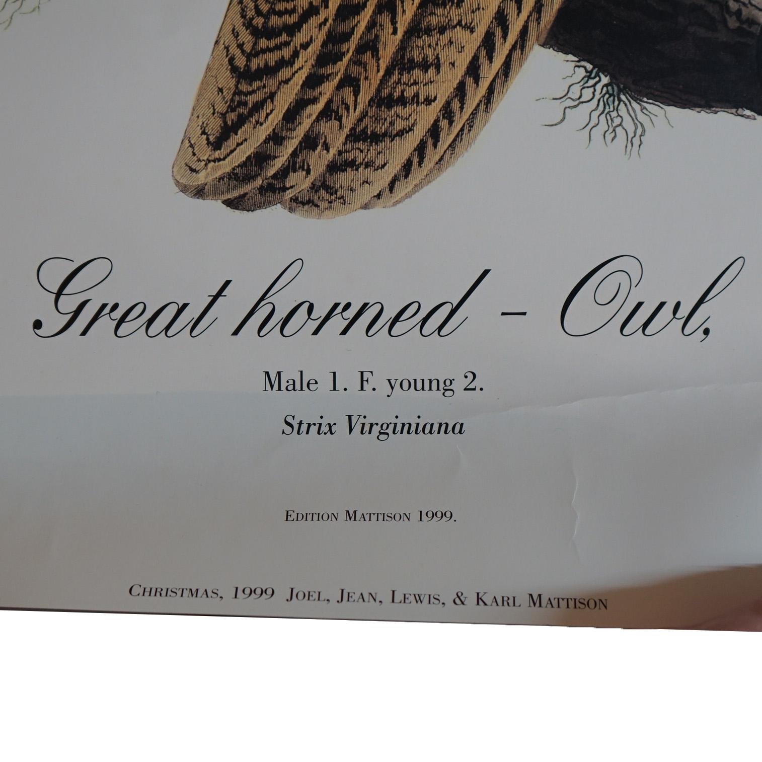 R. Havell Double Elephant Folio Audubon Druck von Great Horned Owls C1999 im Angebot 3