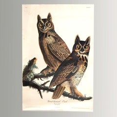 R. Havell Elephant Sized Audubon Print of The Great Horned Owl, Plate 61, C1999