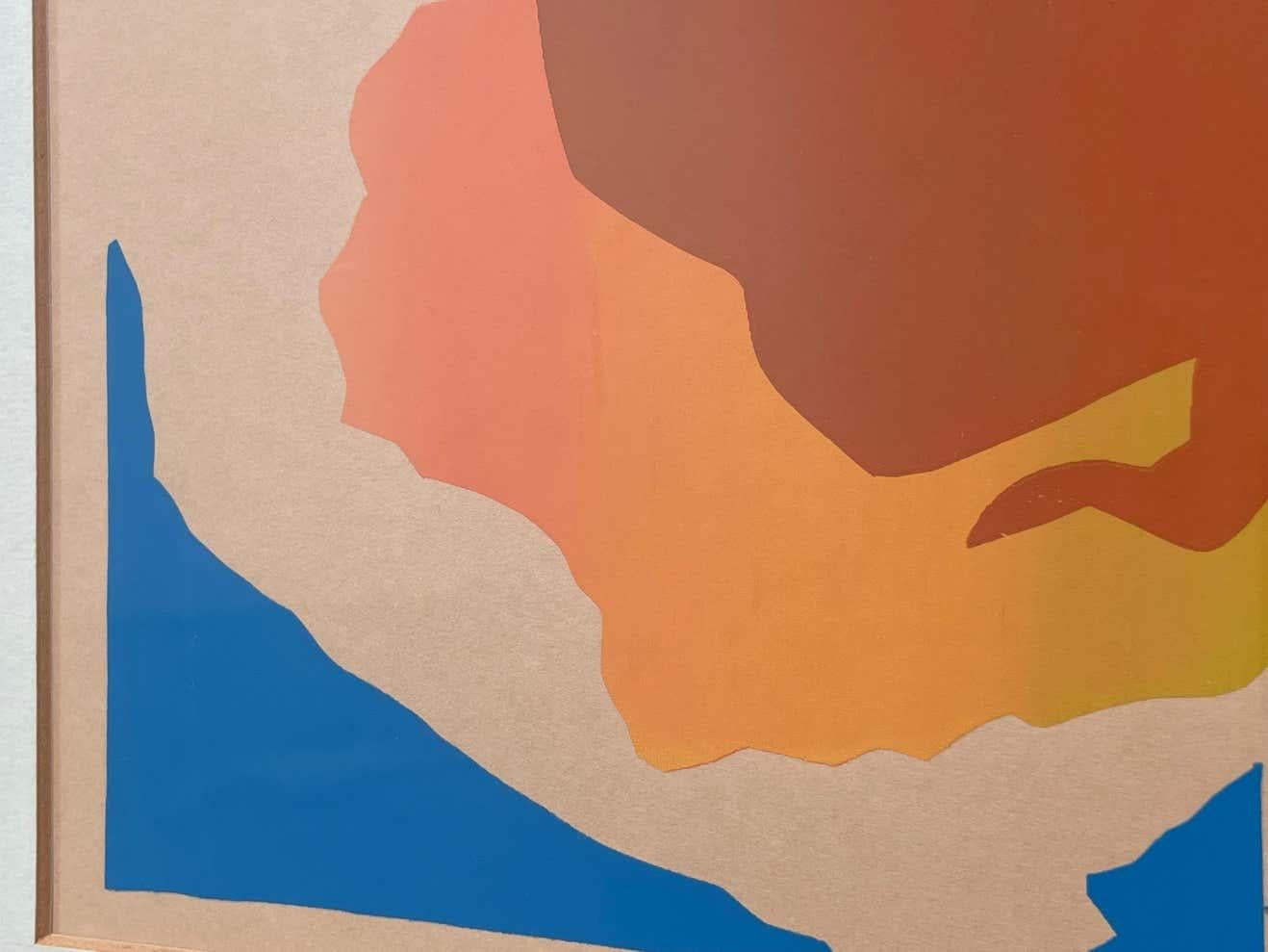 Chat coloré, sérigraphie en soie faite à la main, de R L Mulder 4