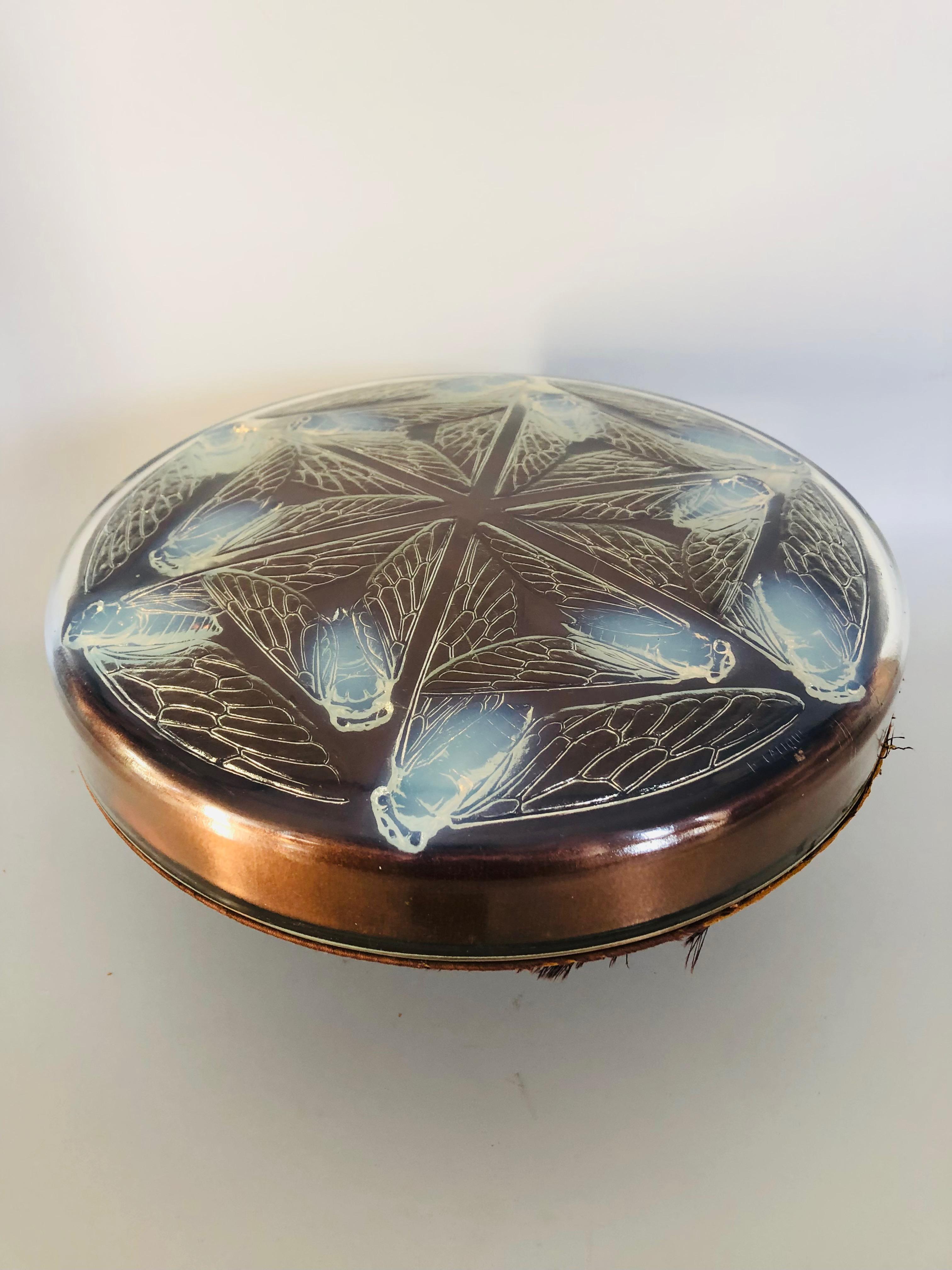 Opalescent molded glass box decorated with cicadas. 
This model was created in 1921. 
The glassware is in perfect condition.
The satin background is original and requires restoration.
Molded R Lalique signature.

Height: 6cm
Diameter: 25.5cm
Weight: