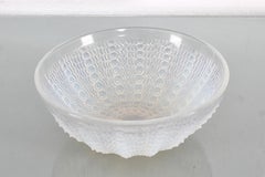R. Lalique mod. "Oursins" No.2 Nemour Series Opalescent Crystal Bowl 1935 France