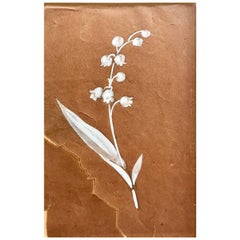 Antique R. Lalique paper Gouache White Gouache Study Flower french 1915 Listed catalog