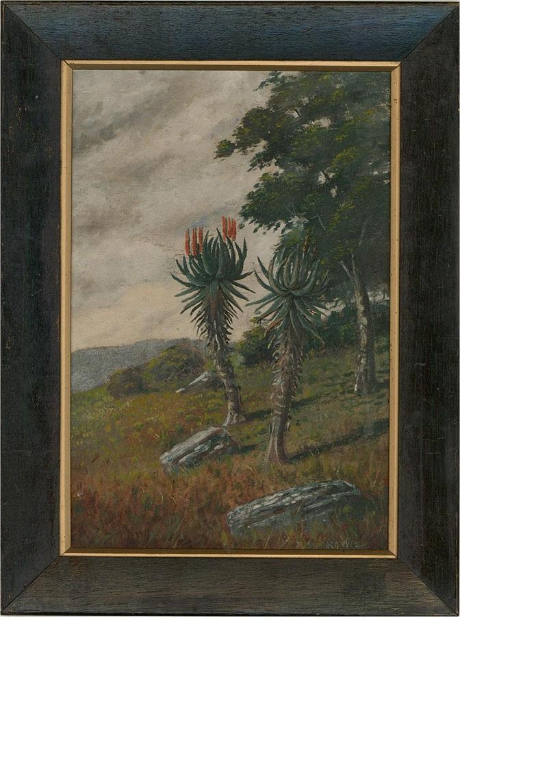A fine oil landscape with a fun botanical element. The scene shows two tall yucca plants in bloom on a rocky hillside. The artist has signed to the lower right corner and the painting has been presented in a black wax frame with gilt slip. On board.

