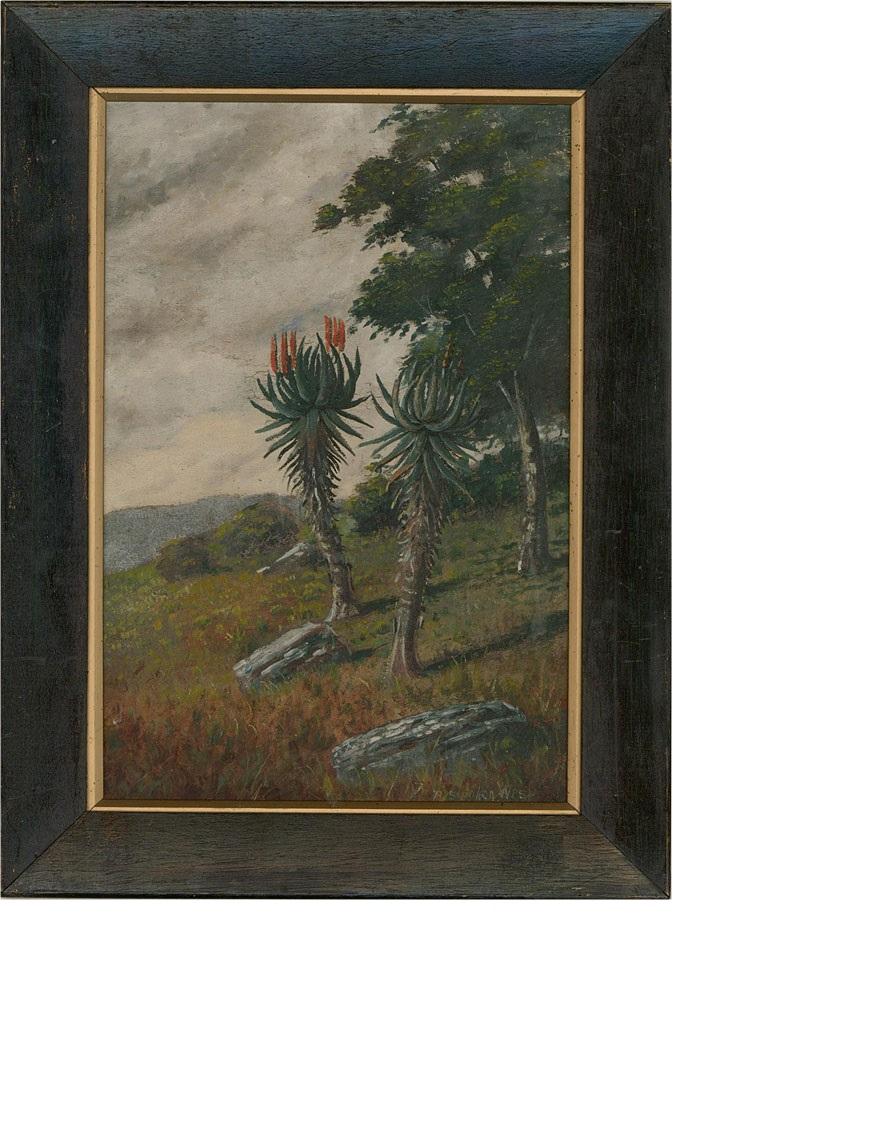 R. Stephen West - Early 20th Century Oil, Flowering Yucca 1