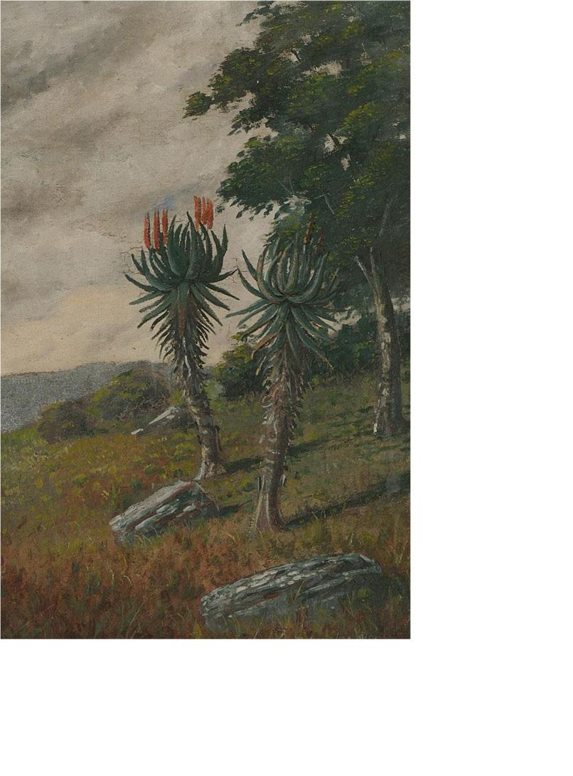 R. Stephen West - Early 20th Century Oil, Flowering Yucca 2