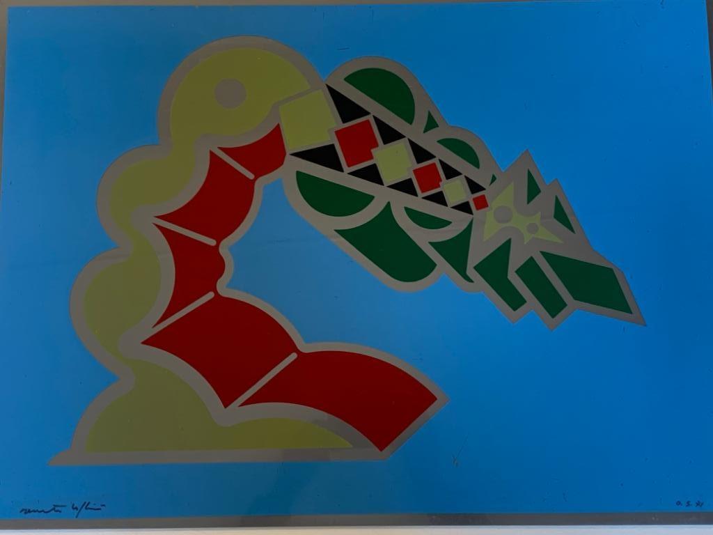 R. Volpini, Traumhaftes Element, Siebdruck auf Kunststoff, 1970er Jahre (Italienisch) im Angebot