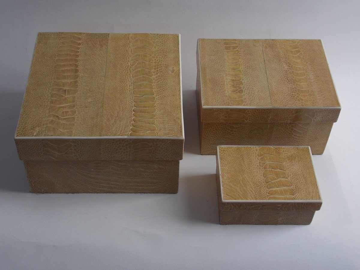 reptile boxes for sale