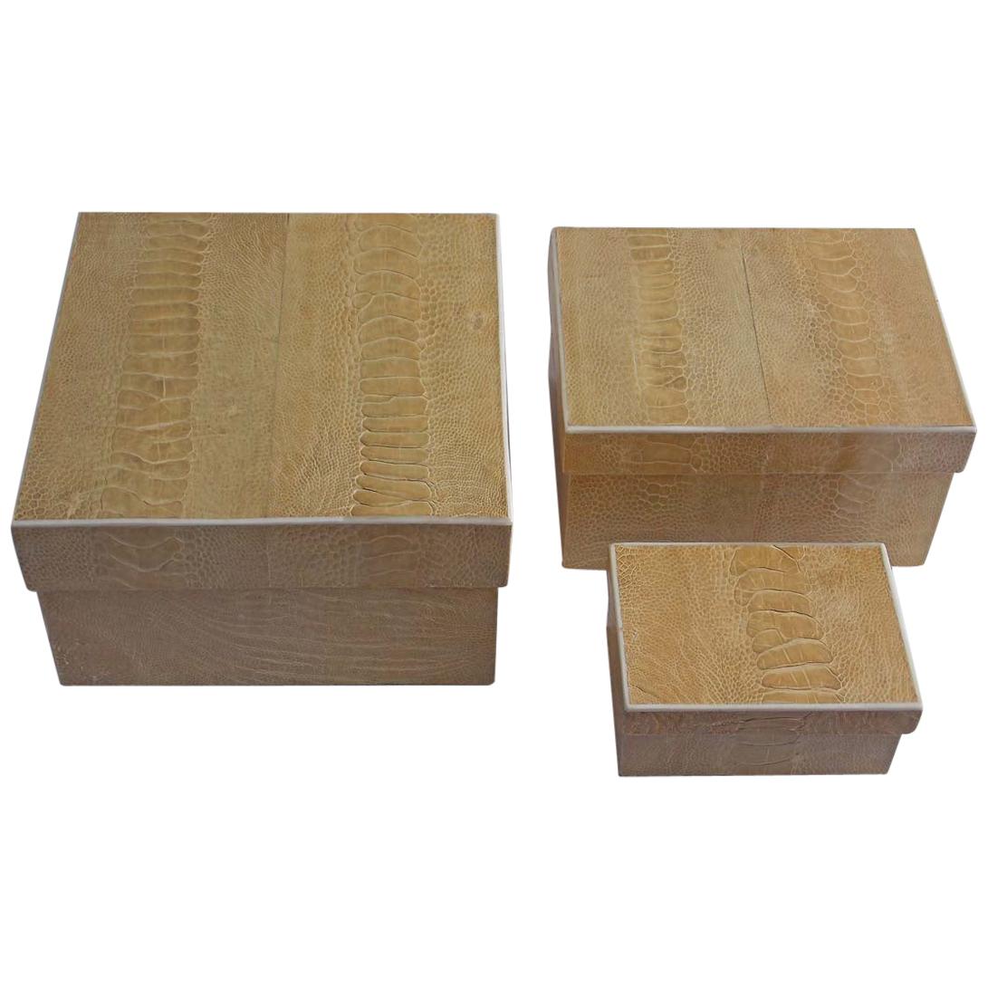 reptile boxes for sale