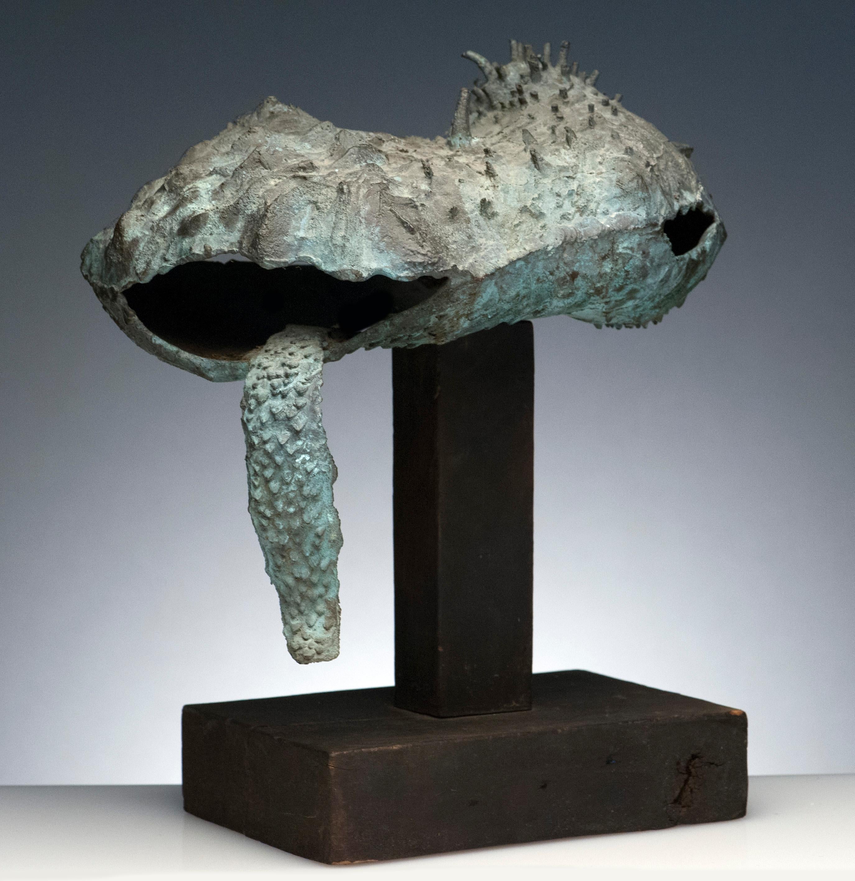 Scultura organica in bronzo dello scultore latinoamericano Raúl Valdivieso (Cile, 1931-1993). Valdivieso è noto per la sua reinterpretazione delle forme organiche classiche e delle figure umane. La scultura ha sviluppato una bella patina e conserva