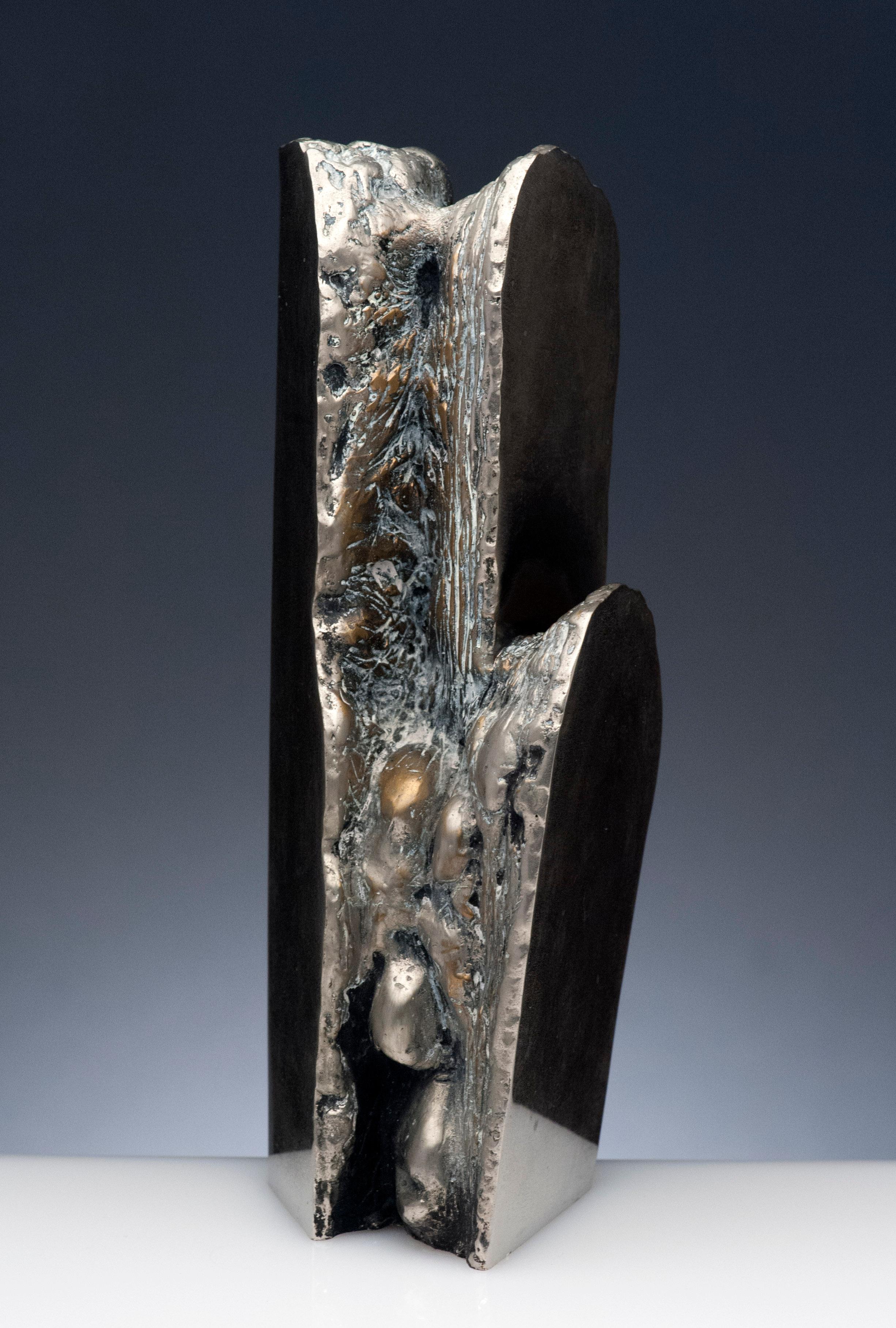 Latin American Raúl Valdivieso Organic Abstract Bronze Metal Sculpture For Sale 2