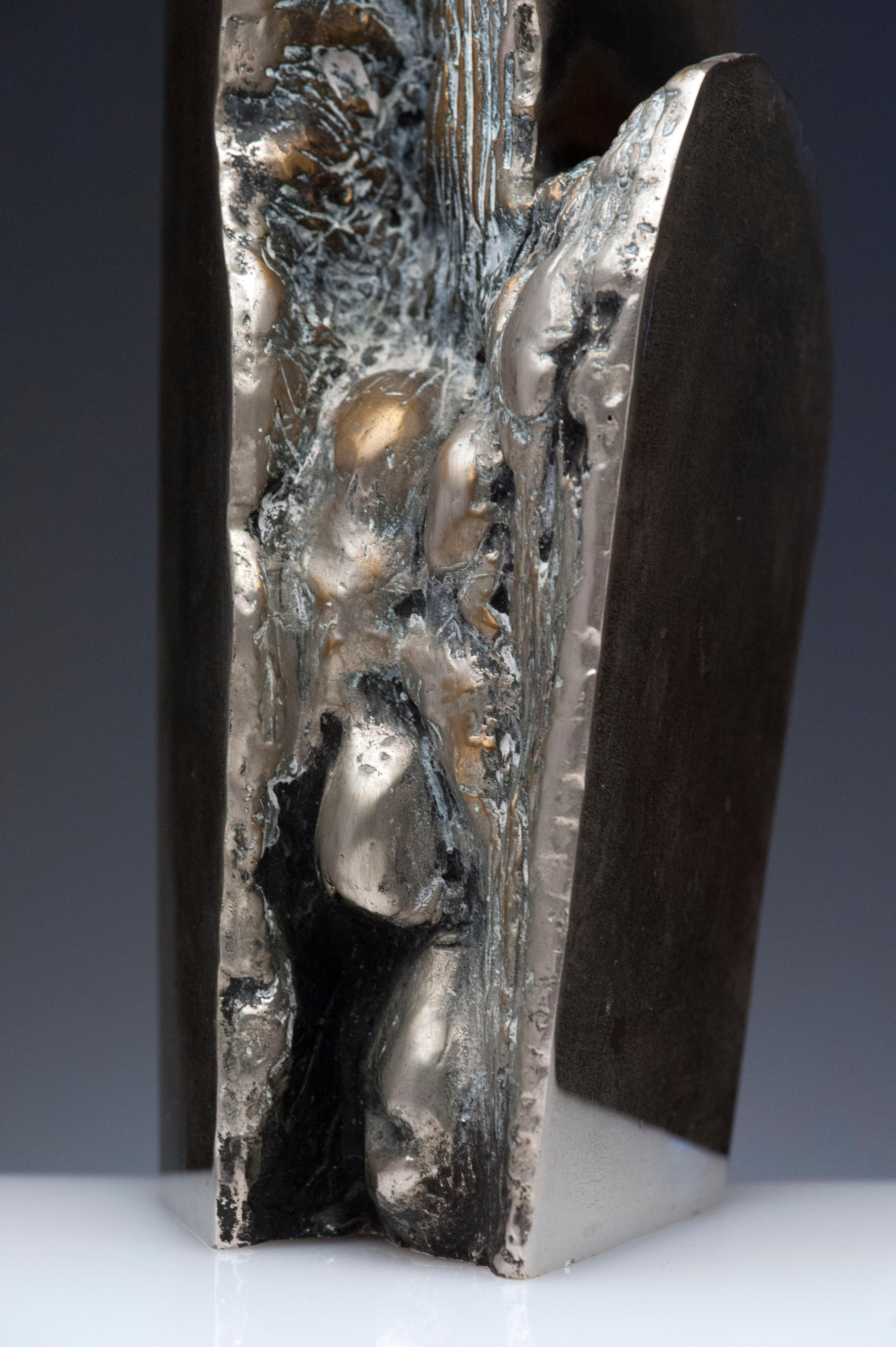 Latin American Raúl Valdivieso Organic Abstract Bronze Metal Sculpture For Sale 3