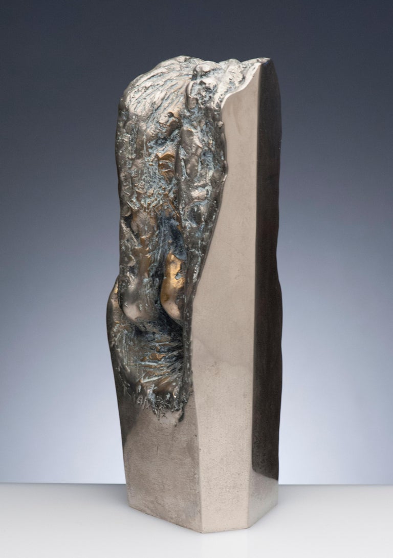 Latin American Raúl Valdivieso Organic Abstract Bronze Metal Sculpture For Sale 7