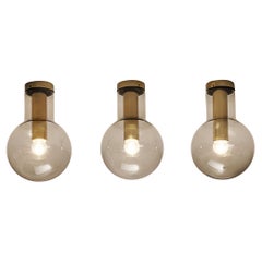Retro RAAK Ceiling Lights 'Maxi-Light Bulb' in Smoked Glass and Brass