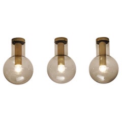 Vintage RAAK Ceiling Lights 'Maxi-Light Bulb' in Smoked Glass and Brass