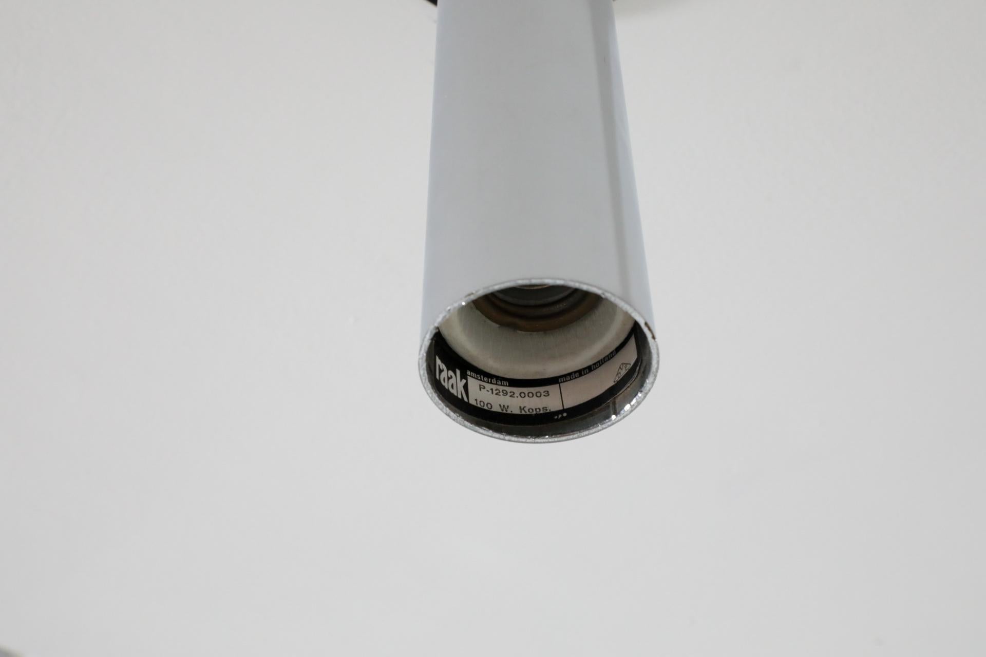 Metal RAAK Tall Maxibule Chrome Ceiling Lights For Sale