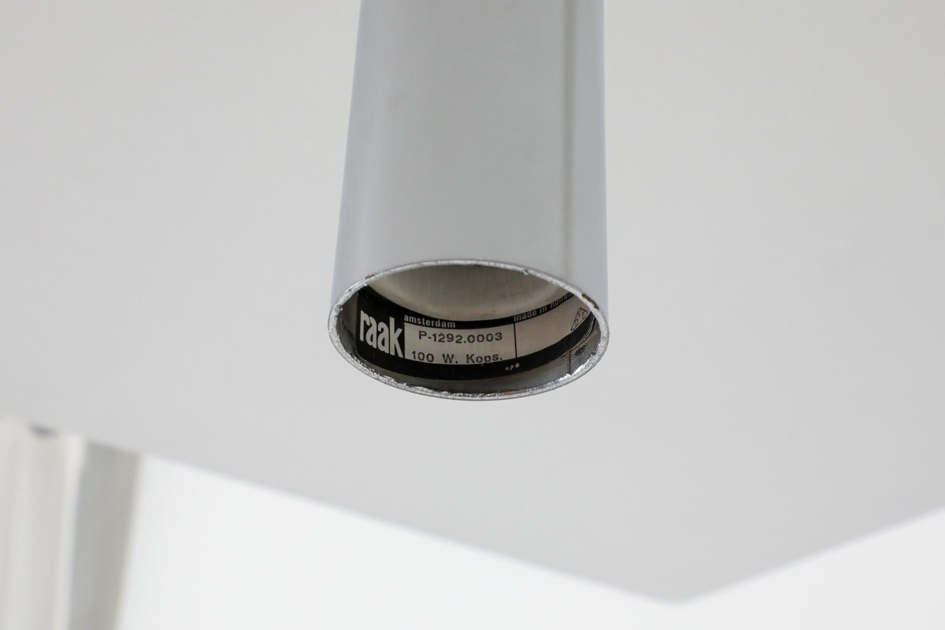 RAAK Tall Maxibule Chrome Ceiling Lights For Sale 1