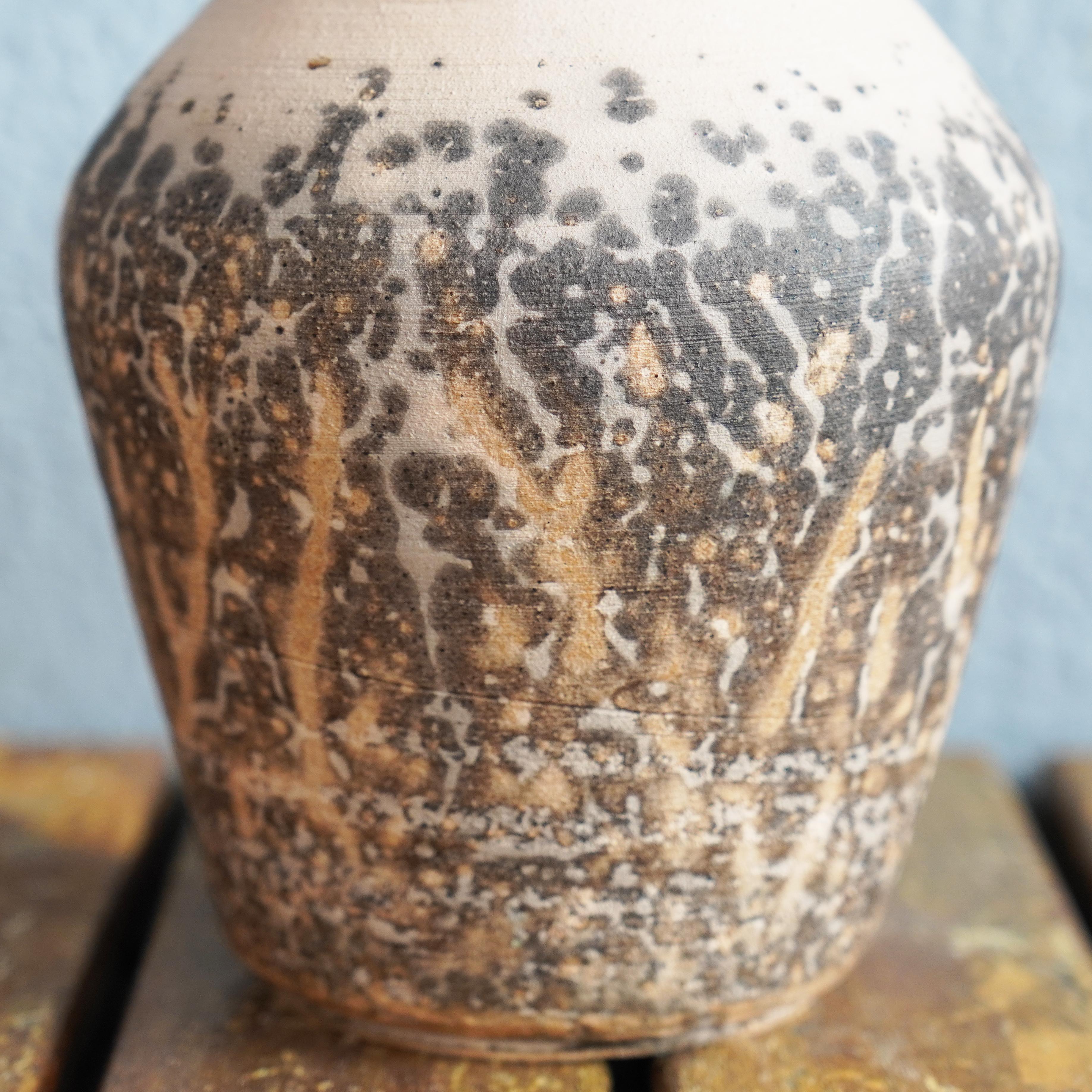 Modern Raaquu Hoseki Raku Pottery Vase, Obvara, Handmade Ceramic, Malaysia For Sale