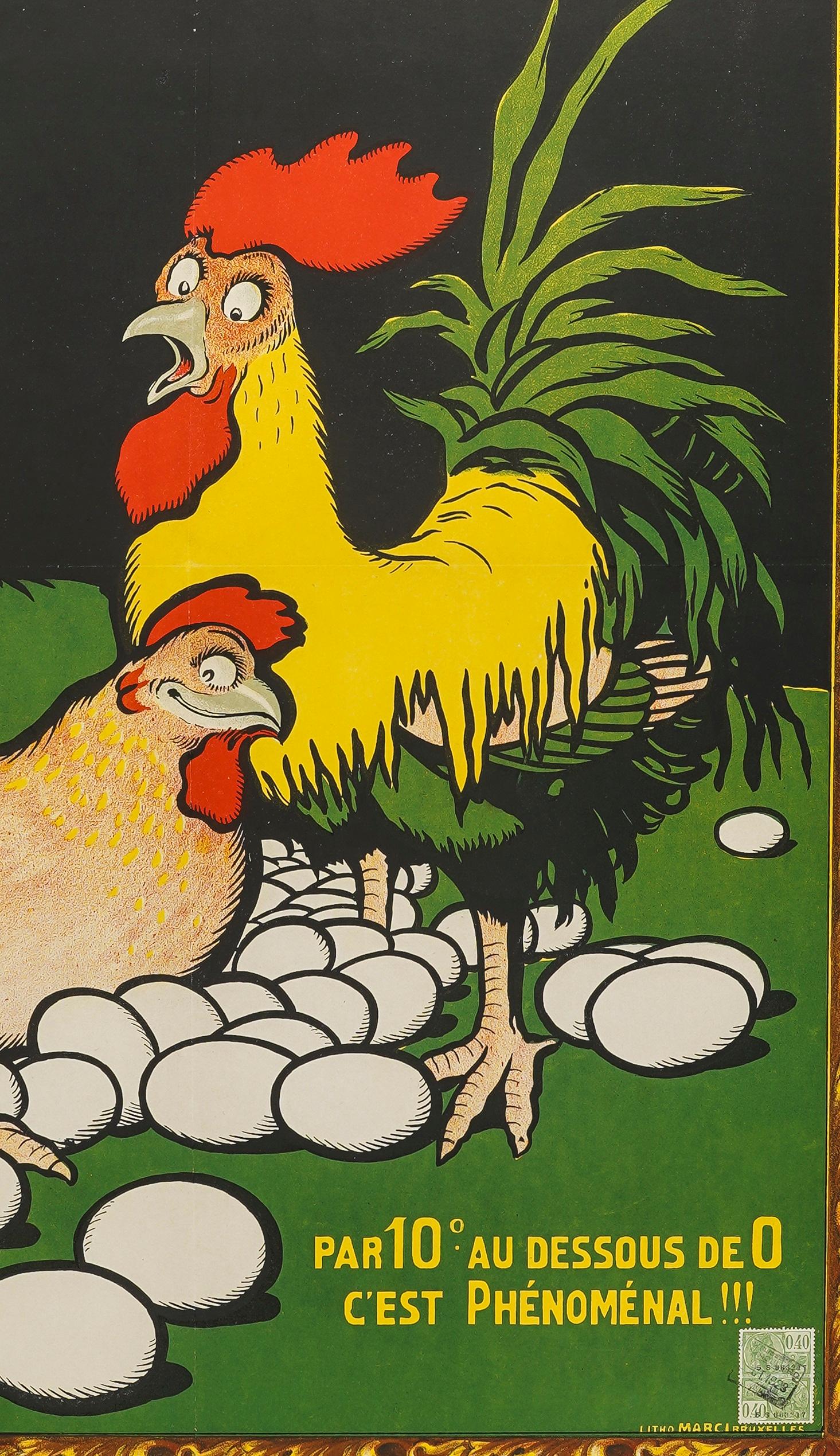 gallo che fa le uova