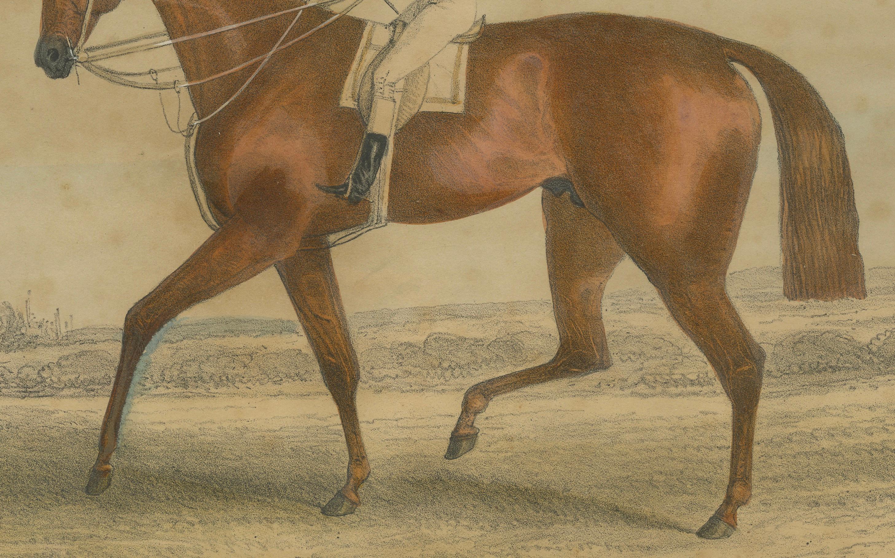 Rennpferd mit Jockey - Handkolorierte Lithographie aus dem 19. Jahrhundert, Britische Schule (Englisch) im Angebot