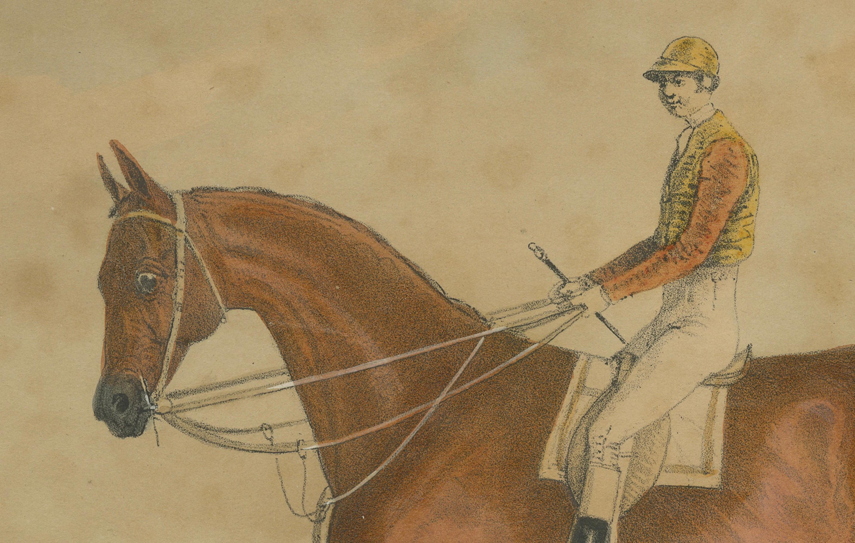Rennpferd mit Jockey - Handkolorierte Lithographie aus dem 19. Jahrhundert, Britische Schule im Zustand „Gut“ im Angebot in Langweer, NL