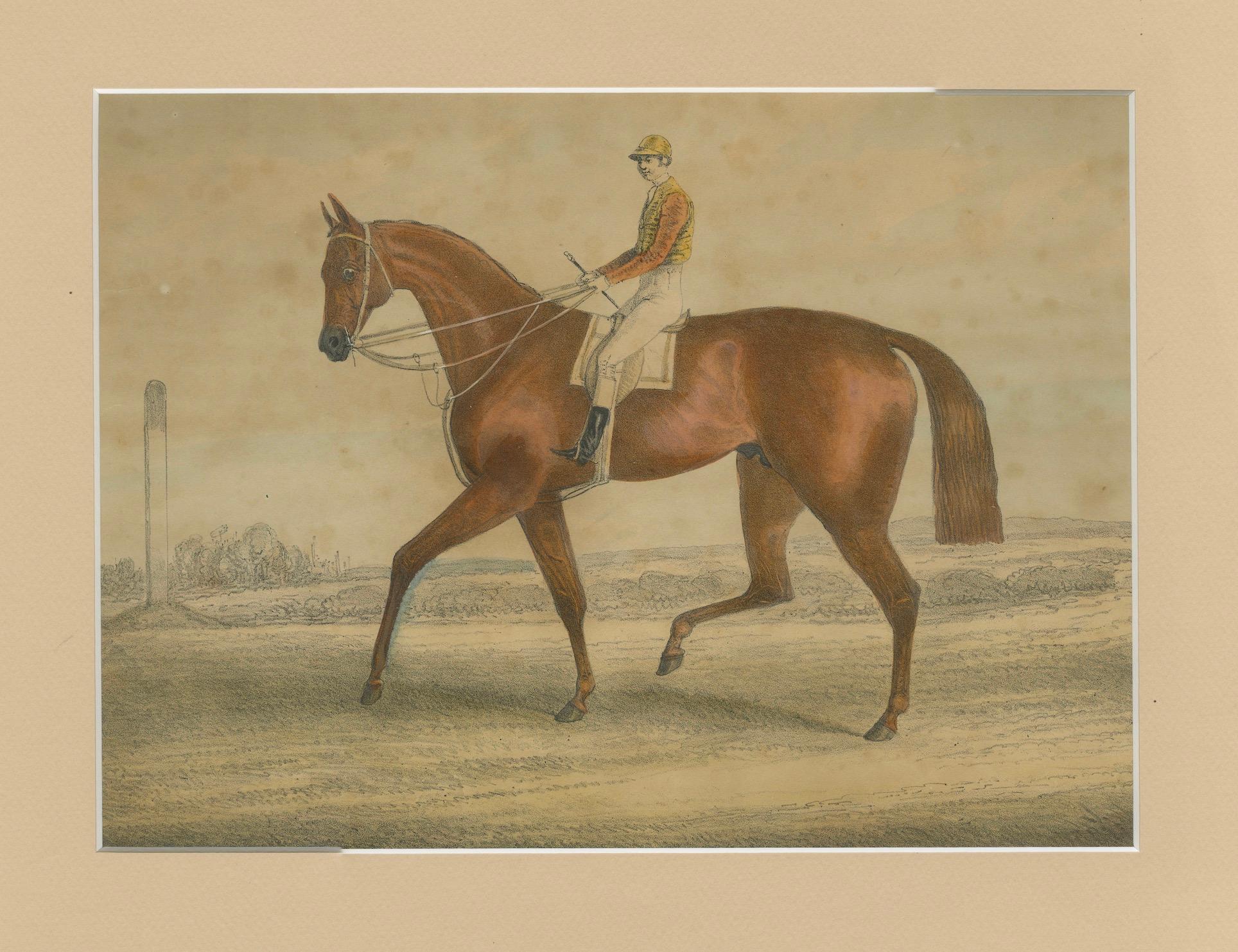 Rennpferd mit Jockey - Handkolorierte Lithographie aus dem 19. Jahrhundert, Britische Schule im Angebot 1