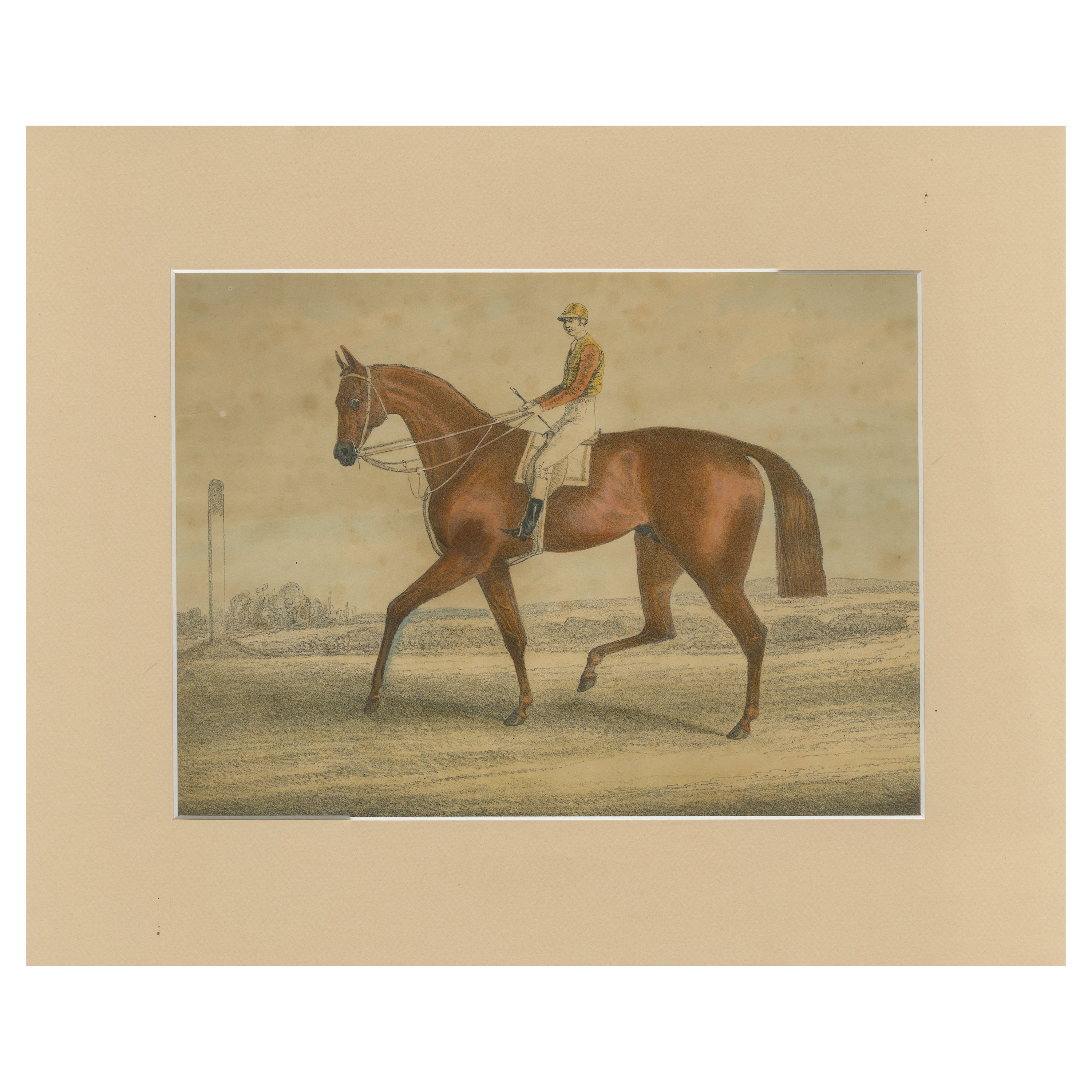 Cheval de course avec jockey - Lithographie du XIXe siècle coloriée à la main, école britannique