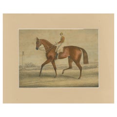 Racehorse with Jockey – 19th-Century Hand-Colored Lithograph, British School