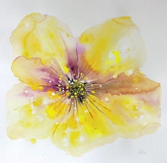 Buttercup