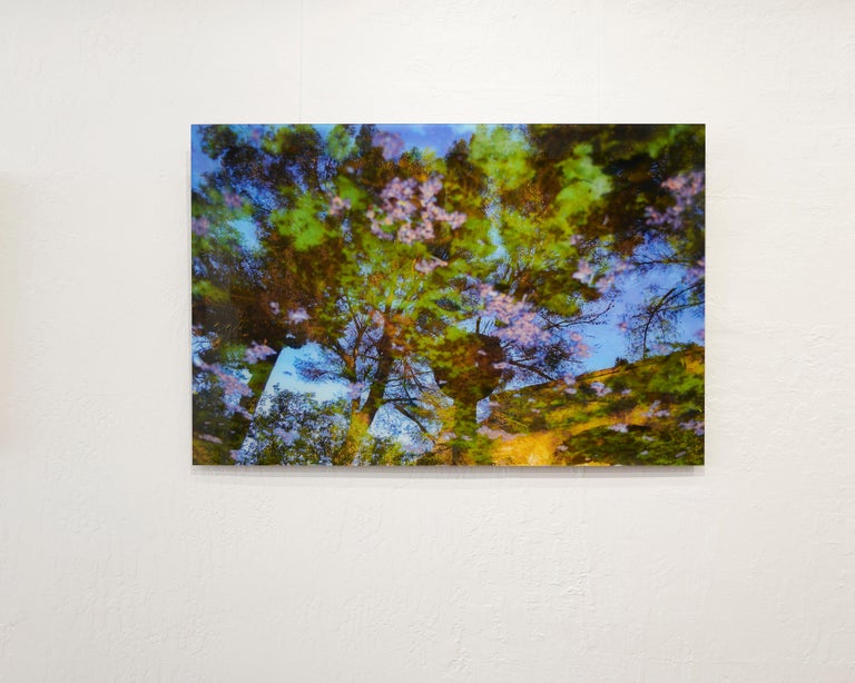 Reflection No. 1 - Meditative Print of Water and Trees. in (Blue+Green+Purple) - Photograph by Rachel Berkowitz