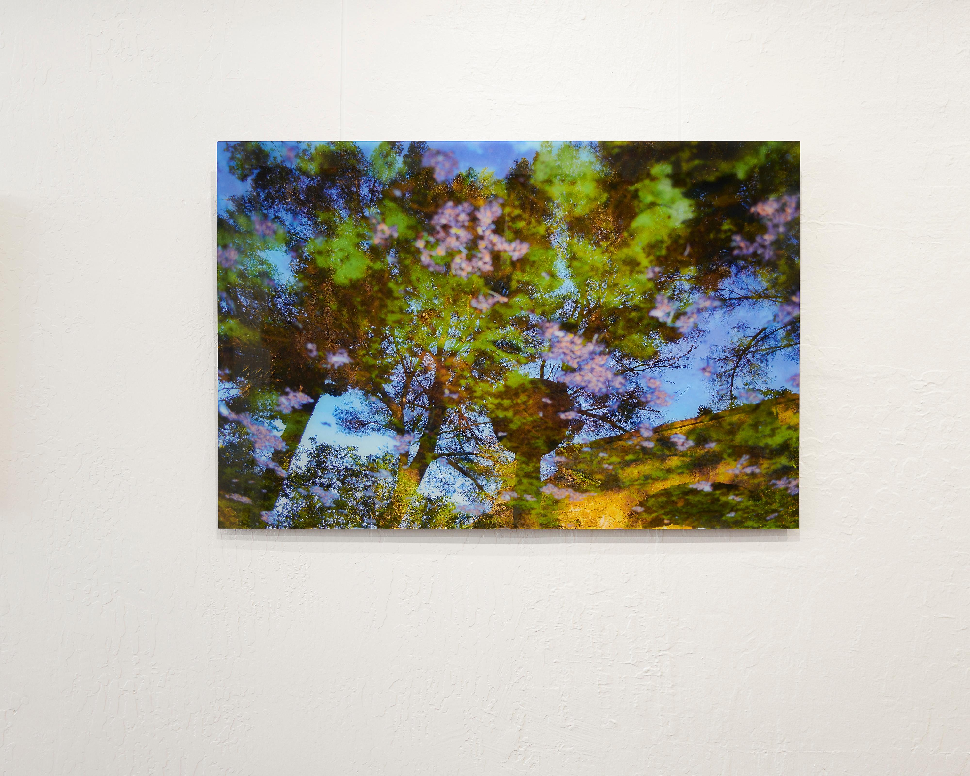 Reflection Nr. 4- Abstrakte Landschaftsfotografie eines Teichs / Bäumen in Gelb+ Grün – Photograph von Rachel Berkowitz