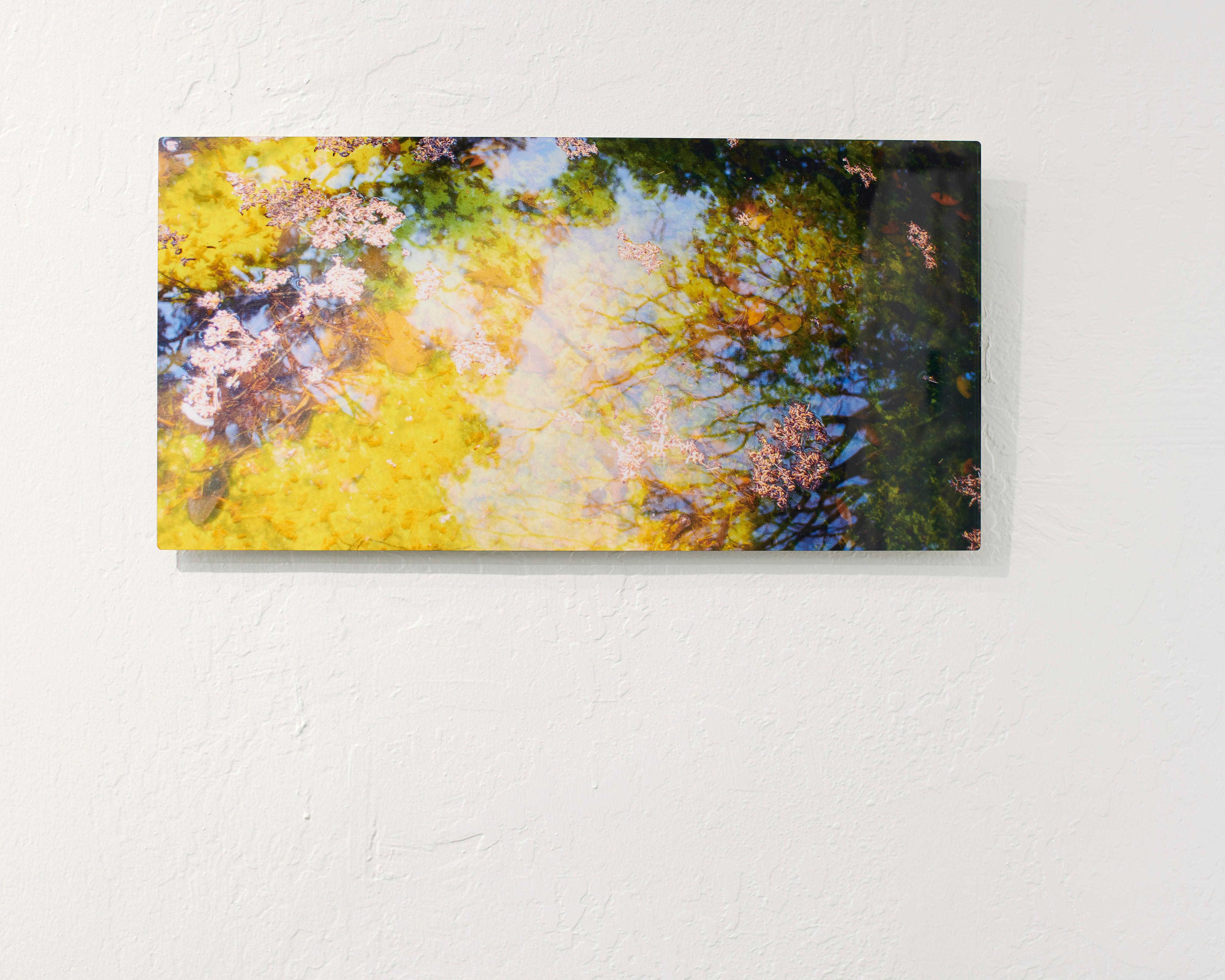 Reflection Nr. 4- Abstrakte Landschaftsfotografie eines Teichs / Bäumen in Gelb+ Grün (Zeitgenössisch), Photograph, von Rachel Berkowitz