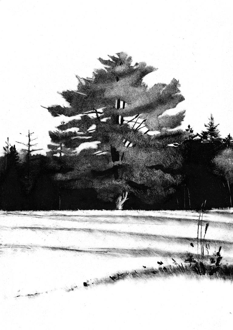 Rachel Burgess Landscape Print - Resident, black and white print of tree