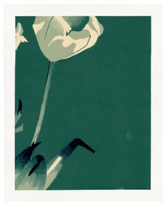 Tulips I
