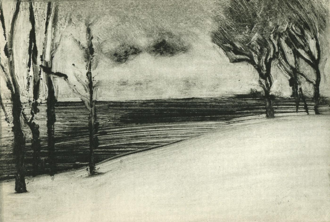 Winter Trees - Print by Rachel Burgess