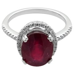 Anello di fidanzamento aureolato Rachel Koen con rubino da 3,60 carati e diamante da 0,22 carati in oro bianco 14K