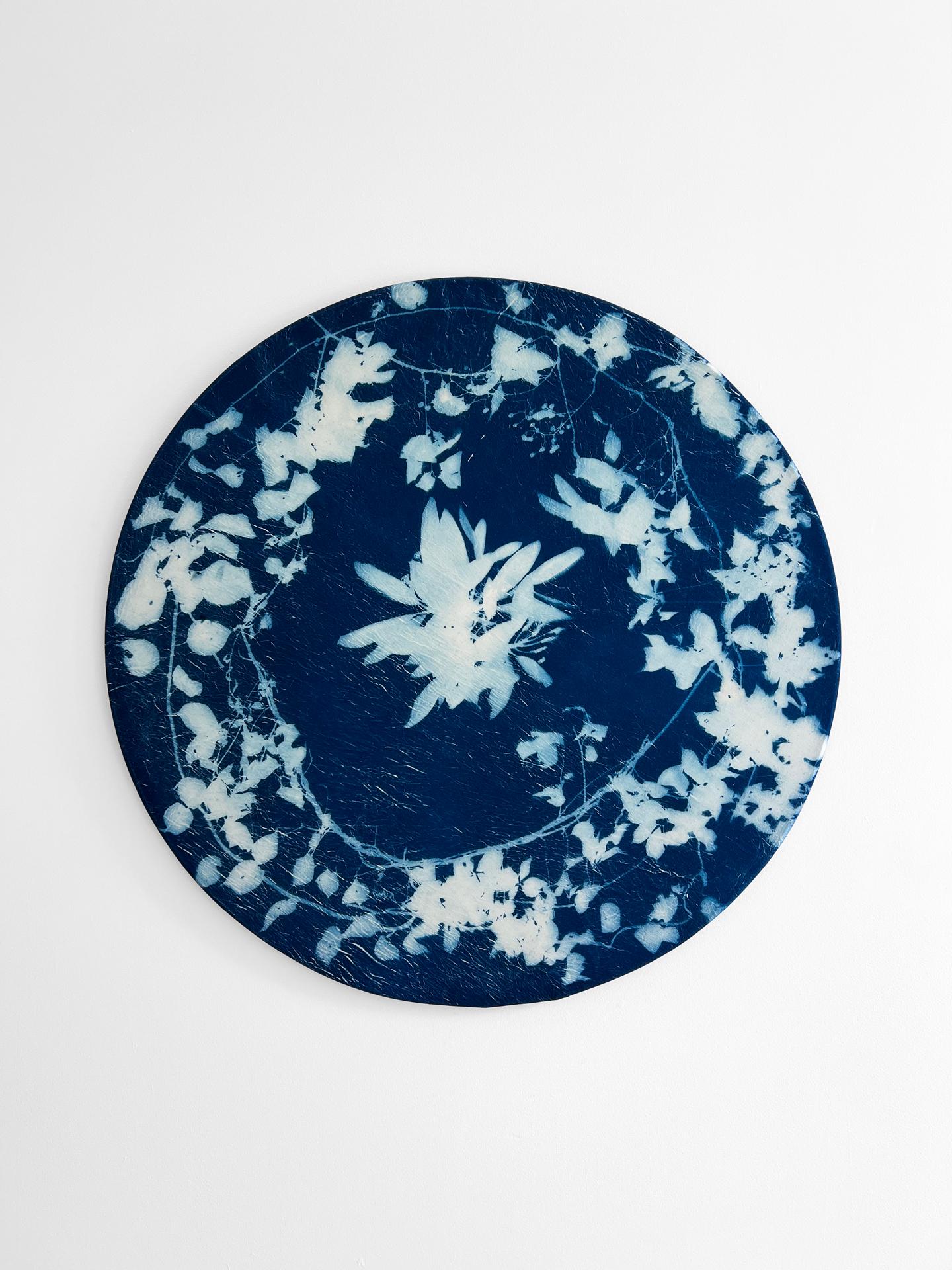 Invasive Species, Cyanotype Photogram on Muslin, 2023