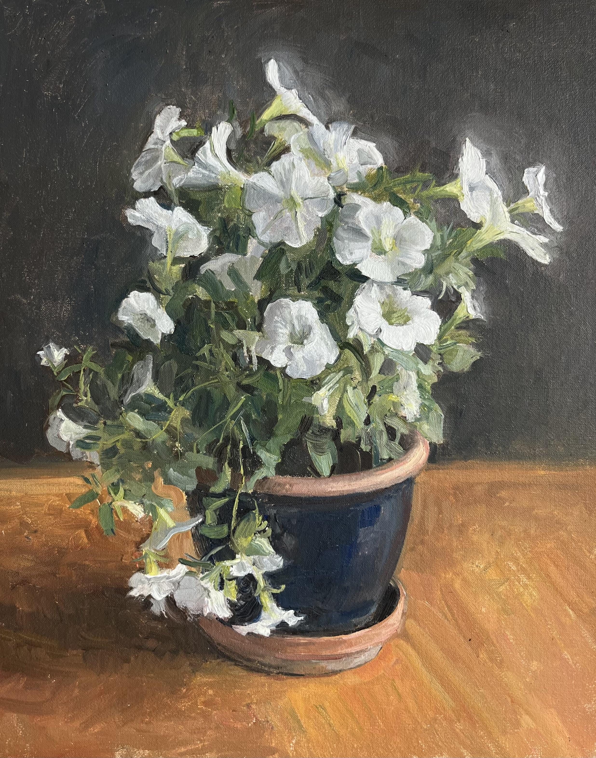 Rachel Personett Interior Painting - "Petunias" oil painting of white flowers in pot on table, springtime, realism