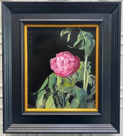 Single Peony