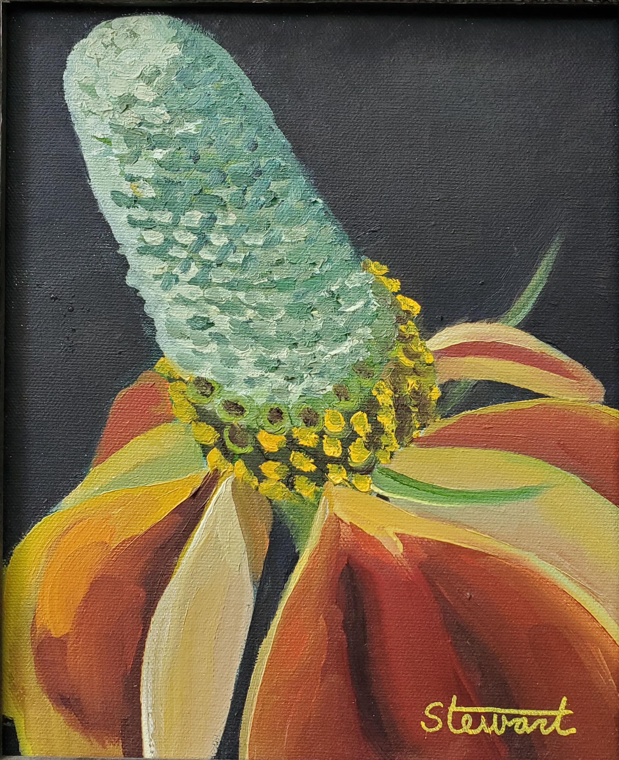 "Flor sombrero mexicano" Pintura realista de una flor silvestre Planta botánica Naturaleza