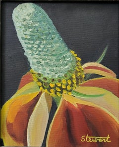 "Flor sombrero mexicano" Pintura realista de una flor silvestre Planta botánica Naturaleza