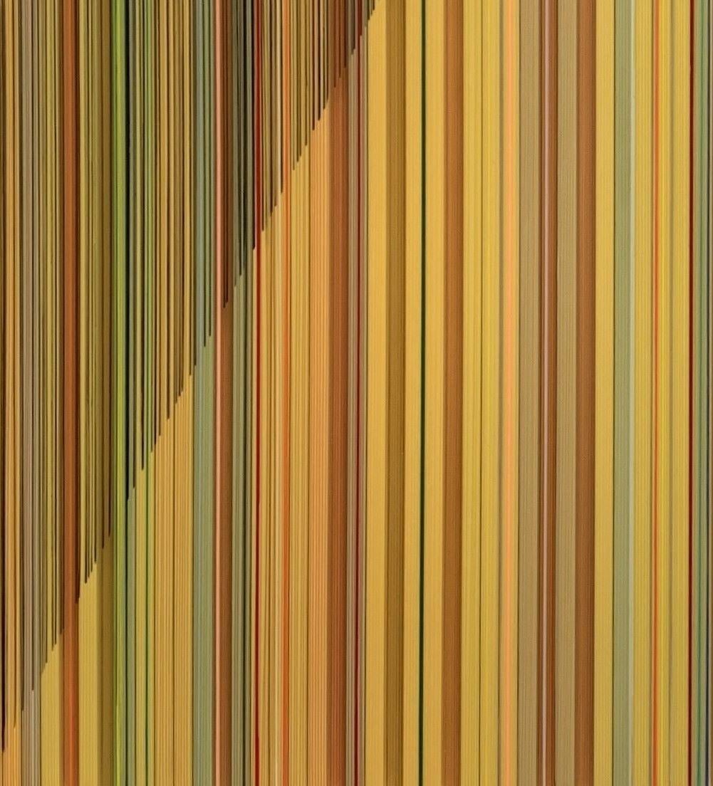 Born in Buckinghamshire in 1976, Rachel Wickremer is a Canterbury based painter known for her colourful work.
Exploring the relationship between the maker and the prefabricated, she is interested in lines, pattern and the space in-between.

Her