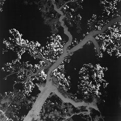 „Natural Satellite“ Eine Solarisierte Silber-Gelatinefotografie eines Baumes und eines Mondes