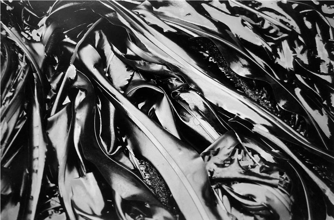 Rachell Hester Black and White Photograph - "Wet Leather II" 15"x12" -A Sultry, Sensual Silver Gelatin Photograph of Seaweed
