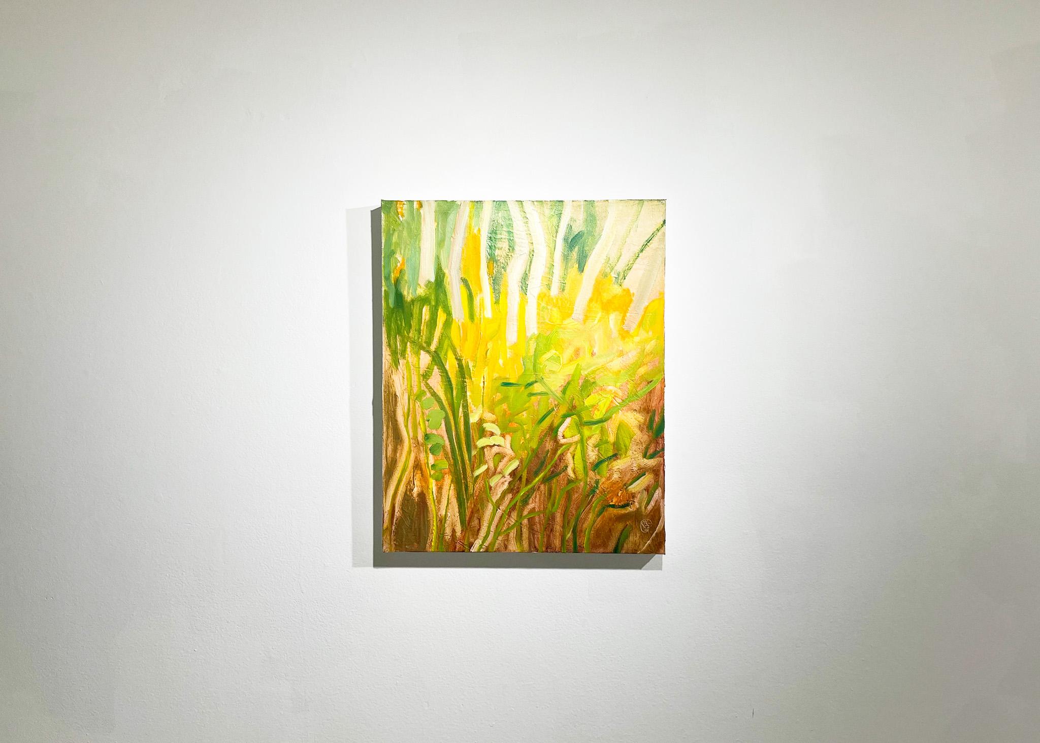 Campos resplandecientes con abedules, I (Paisaje, Técnica mixta, bosque, sol, árboles) - Painting de Rachelle Krieger