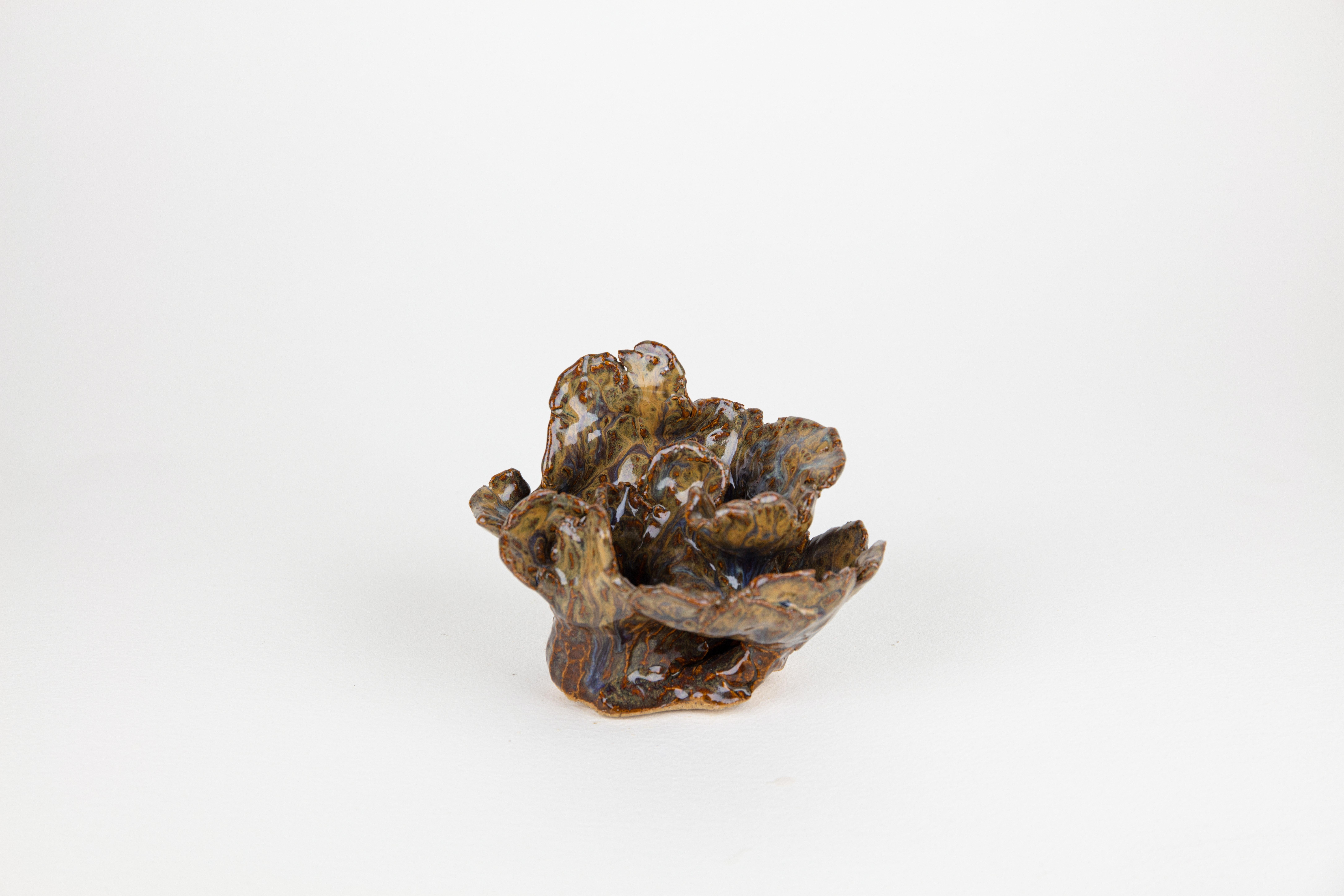 Lichen 2, sculpture abstraite en céramique, marron